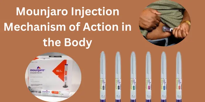 Mounjaro Injection Mechanism of Action in the Body