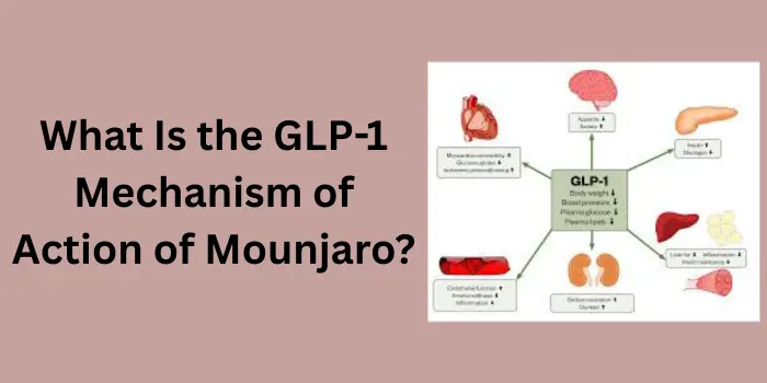 What Is the GLP-1 Mechanism of Action of Mounjaro